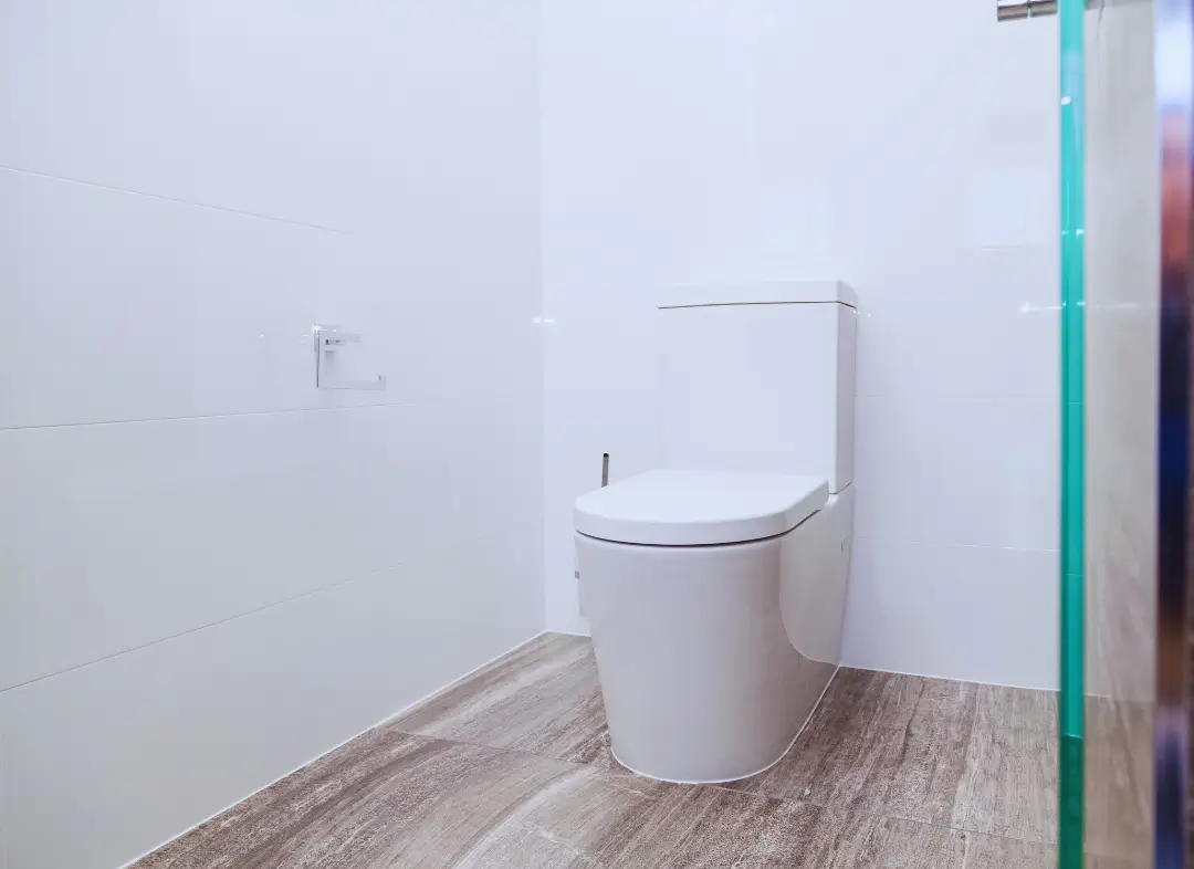 Remplacement de wc Sciez