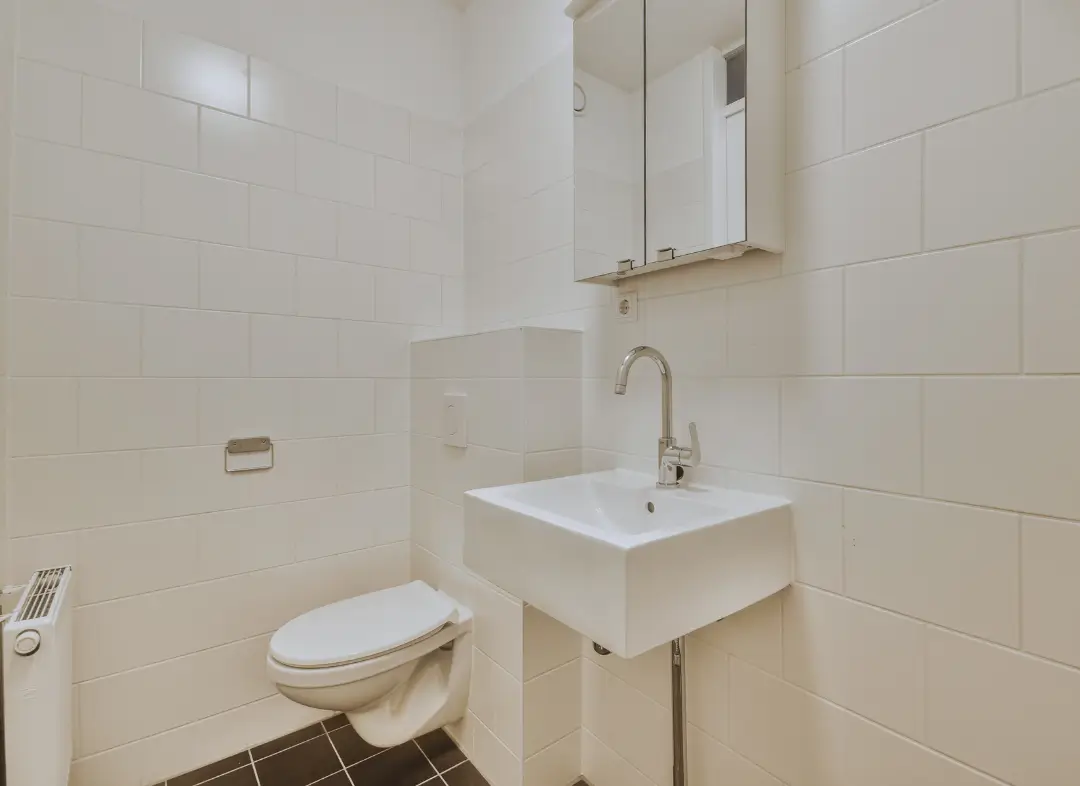 Pose WC Suspendu Sciez